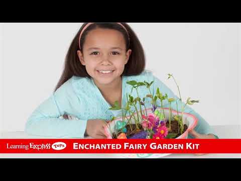 Enchanted Fairy Garden