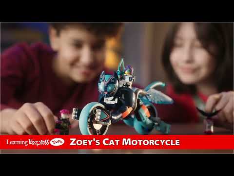 Zoey's Cat Motorcycle