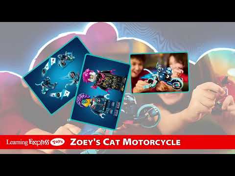 Zoey's Cat Motorcycle