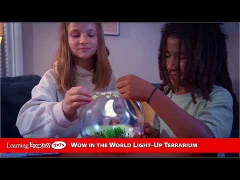 Wow Light Up Terrarium