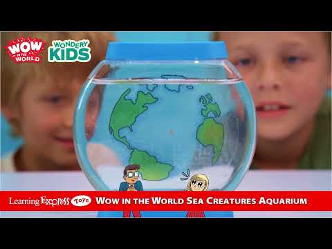 Wow Sea Creatures Aquariu