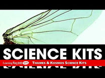 Stepping Into Science