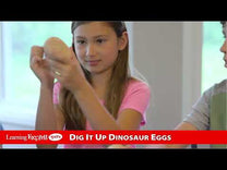 Dig IT Up! Dinosaur Eggs