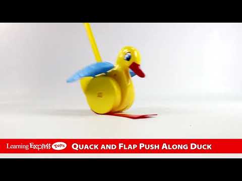 Quack Flap