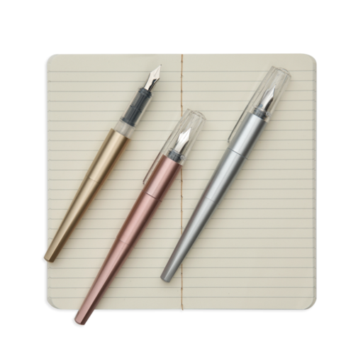 Modern Script Pen Journal-2
