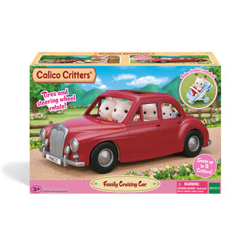 Cc Family Cruising Car-1