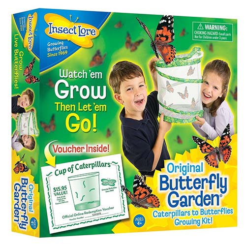 Butterfly Garden with