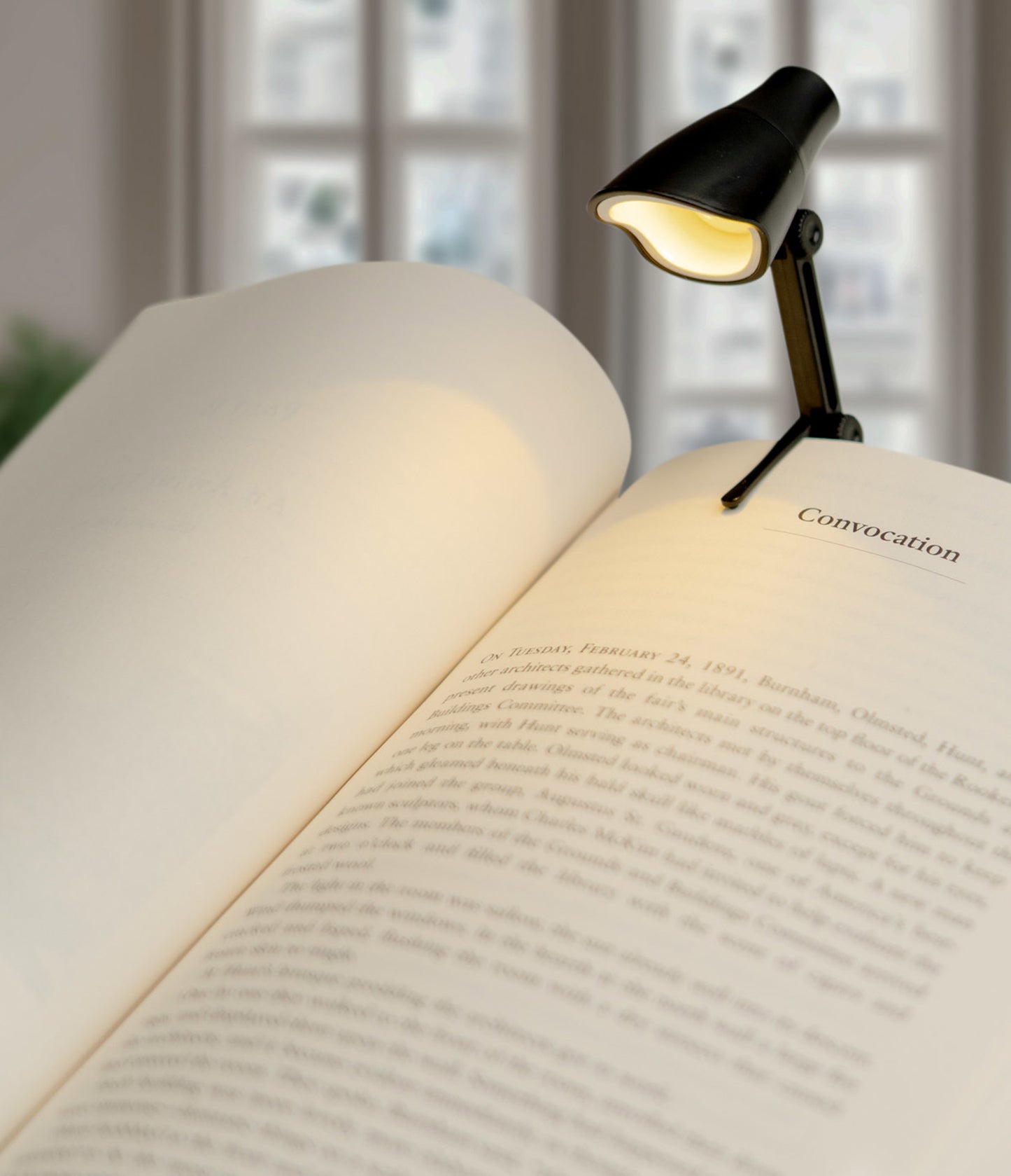 Task and Booklight Mini LED Lamp