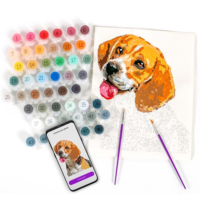 Paint Your Photo Pets Edition