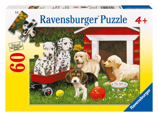 Puppy Party-1