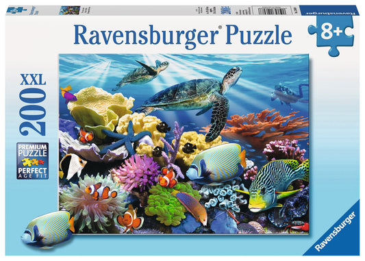 Ocean Turtles-1