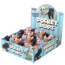 Pocket Pup Assort 2-2
