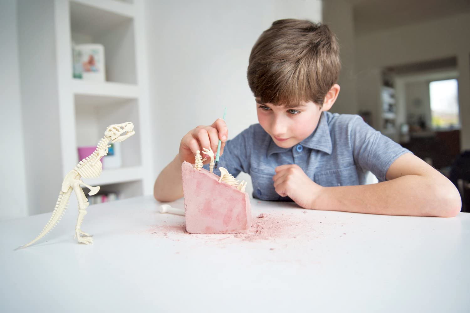 Dig A Dino T-Rex-3