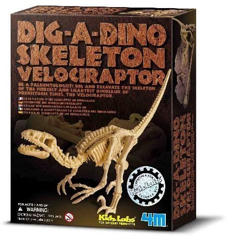 Dig-A-Dino Kit Ii-1