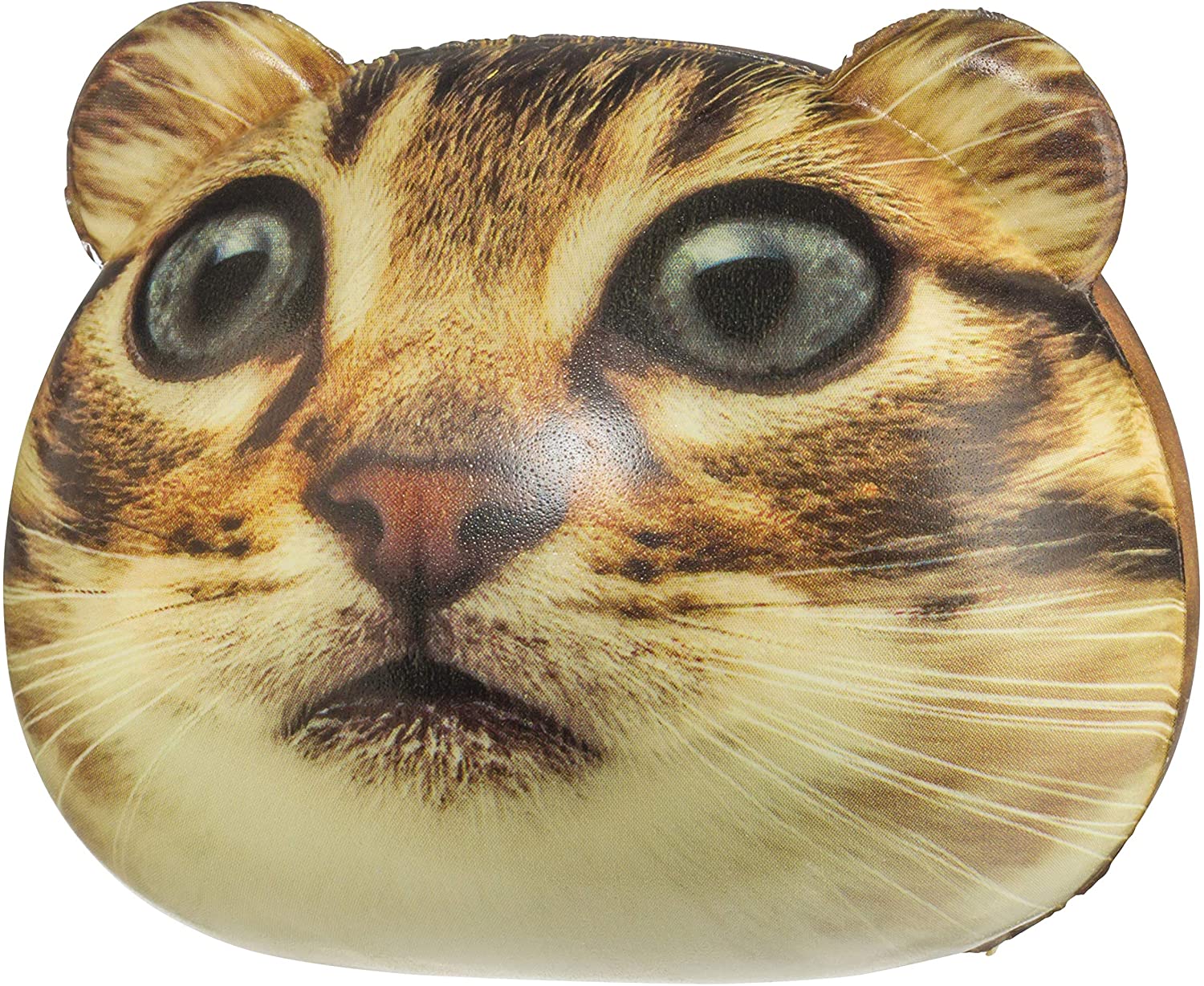 Catstronaut-1