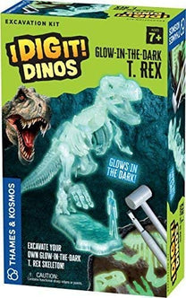 Glow in the Dark T Rex-2