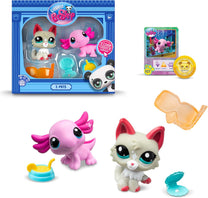 Lps Pet Pairs Assortment-1