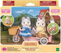 Cc Tandem Cycling Set-2