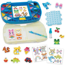 Ab Beginners Carry Case