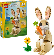 Cute Bunny