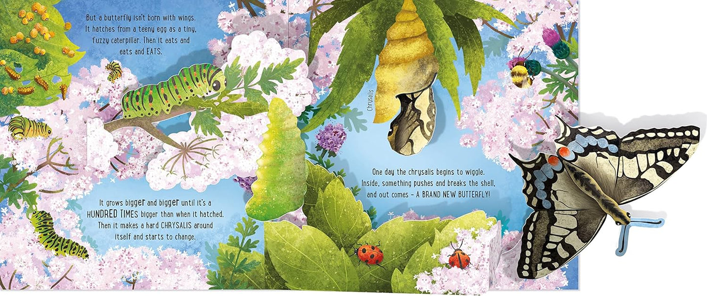 Pop Up Butterflies-1