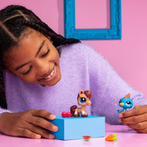 Lps Pet Pairs Assortment-2