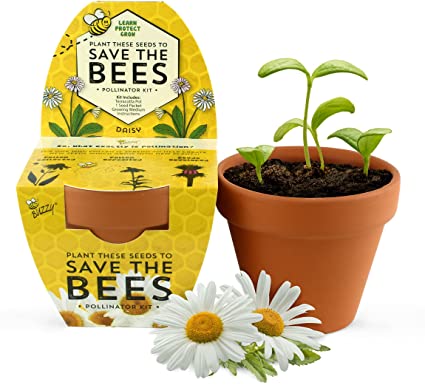Save the Bees - Assorted-1
