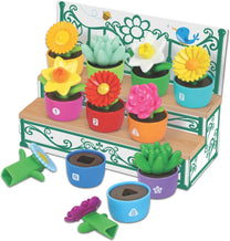 Shape Color Garden