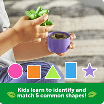 Shape Color Garden