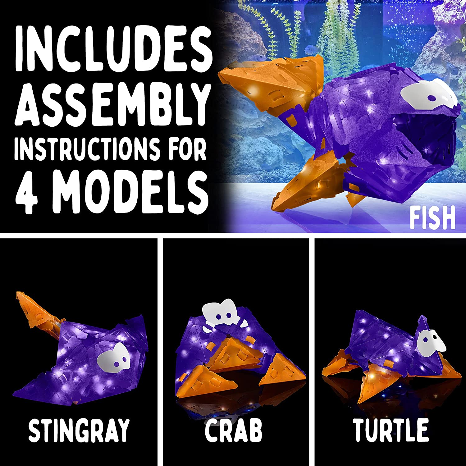 Flashy Fish Silly Swimmer-1