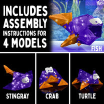 Flashy Fish Silly Swimmer-1