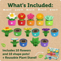 Shape Color Garden