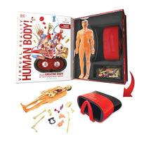 Virtual Reality Human Bdy