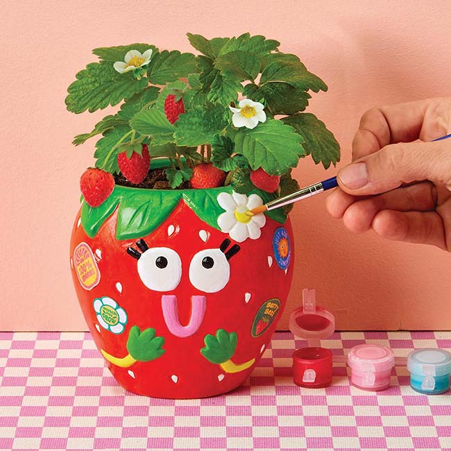 Paint & Grow Strawberry Planter-2