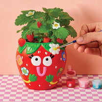 Paint & Grow Strawberry Planter-2