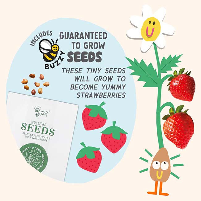 Paint & Grow Strawberry Planter-3