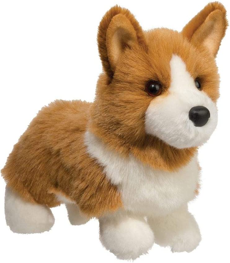 Louie Corgi-1