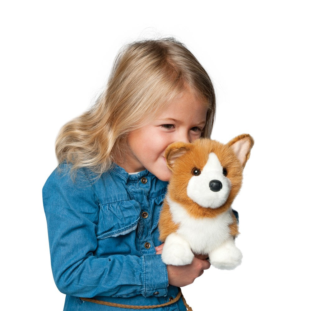 Louie Corgi-2