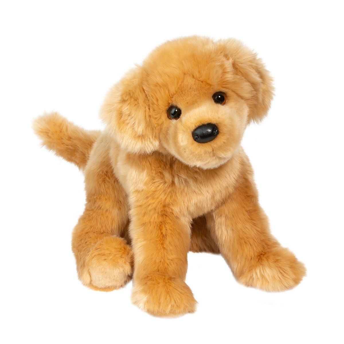 Bella Golden Retriever-1