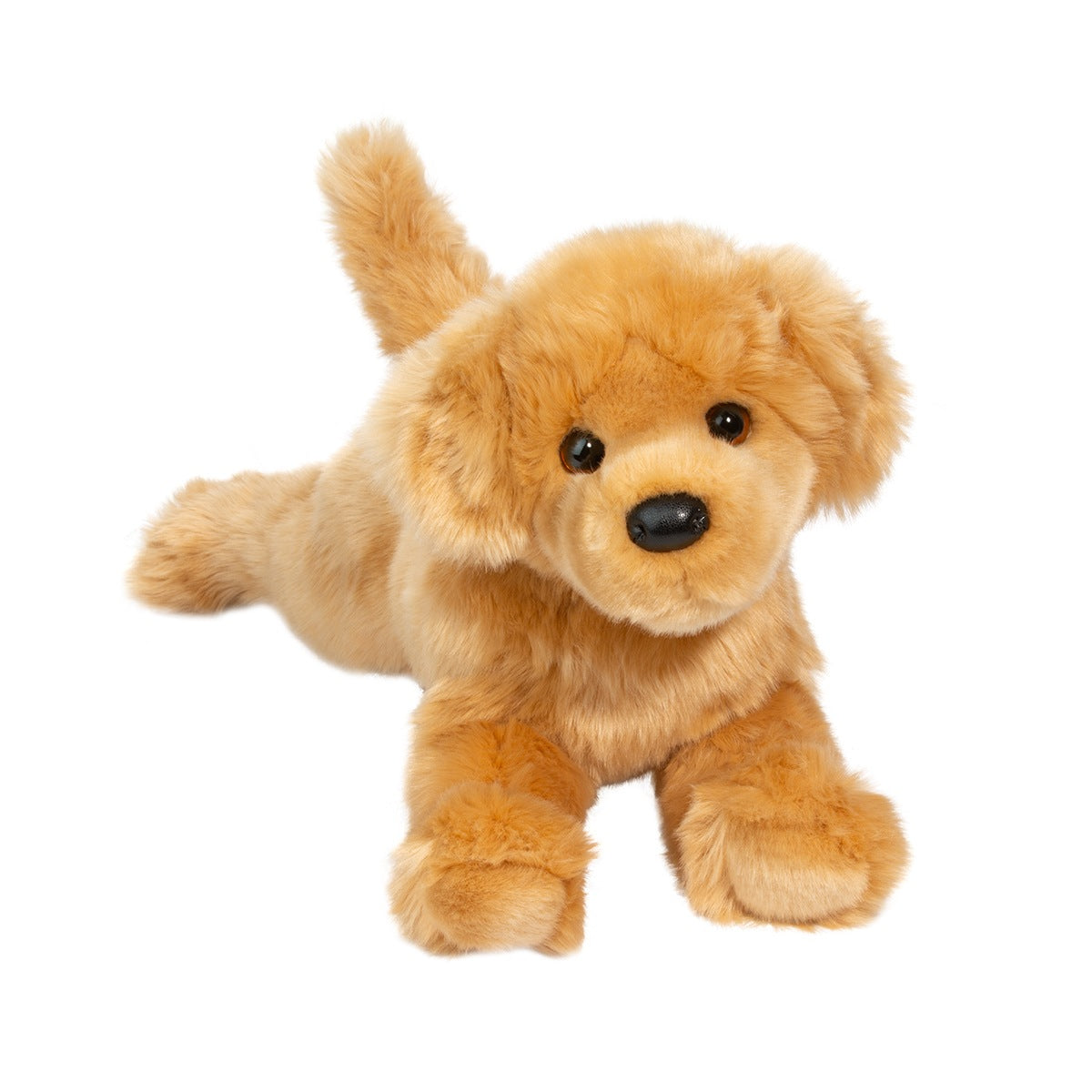 Bella Golden Retriever-3