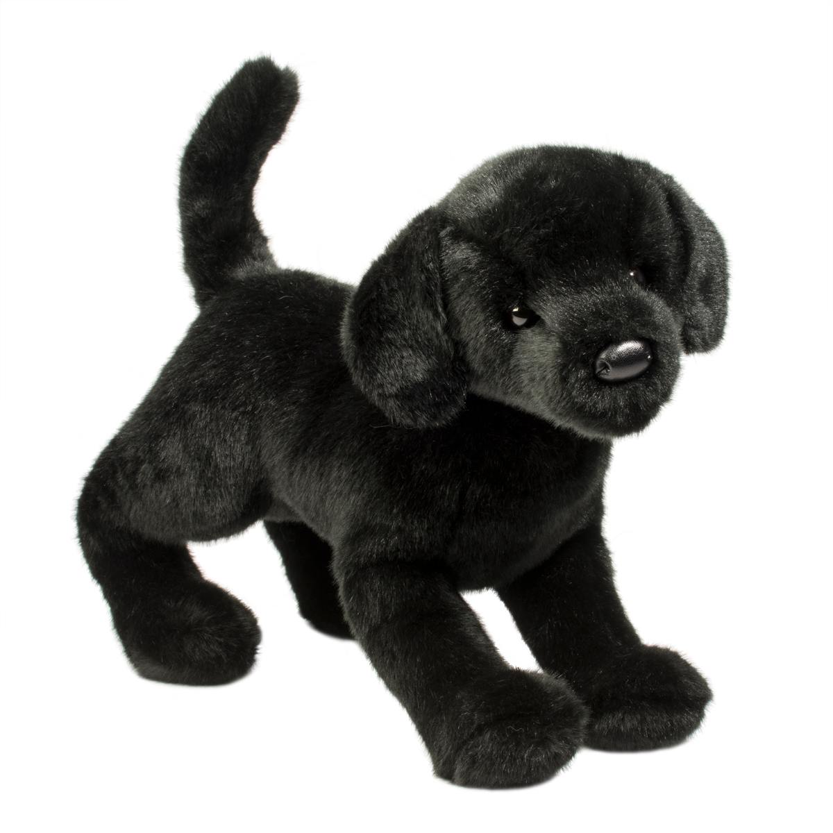 Chester Black Lab-1
