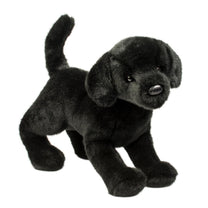 Chester Black Lab-1