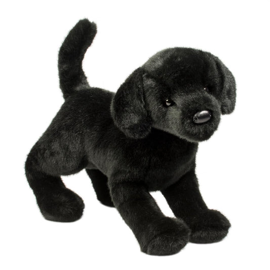 Chester Black Lab-1