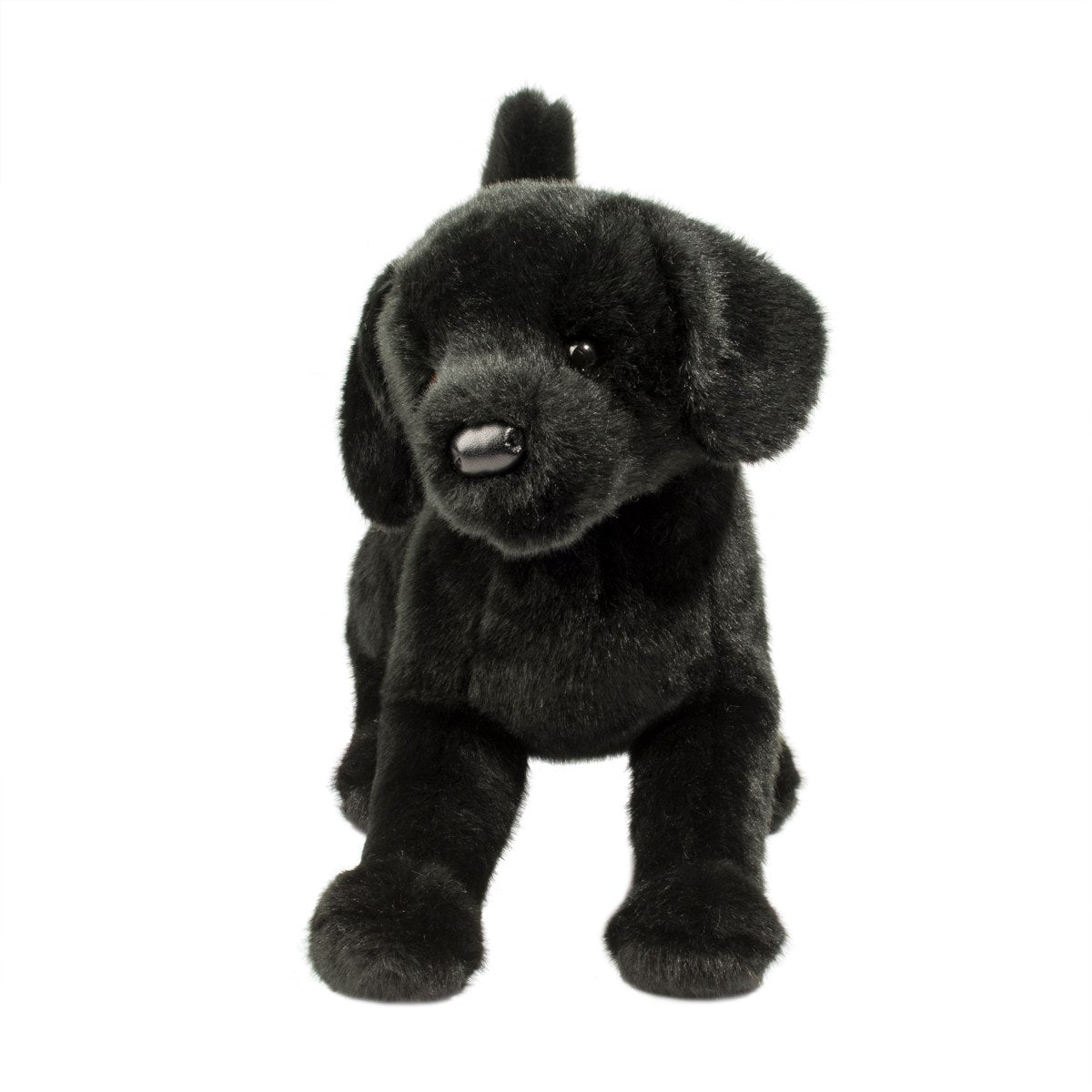 Chester Black Lab-2