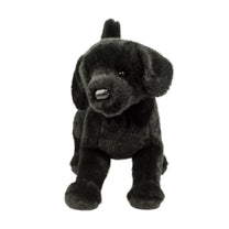 Chester Black Lab-2