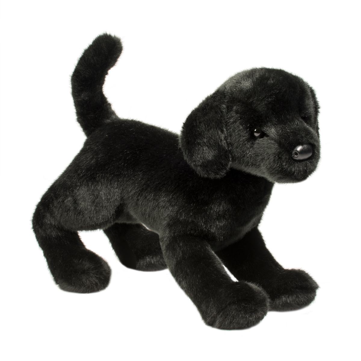 Chester Black Lab-3