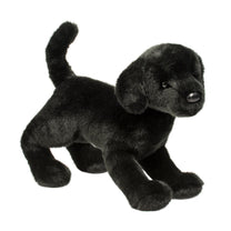 Chester Black Lab-3