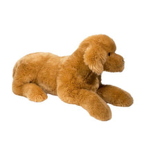 Sherman Golden Retriever Medium-3