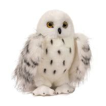 Wizard Snowy Owl-1