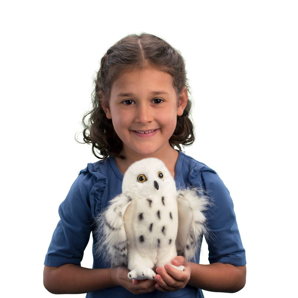 Wizard Snowy Owl-2